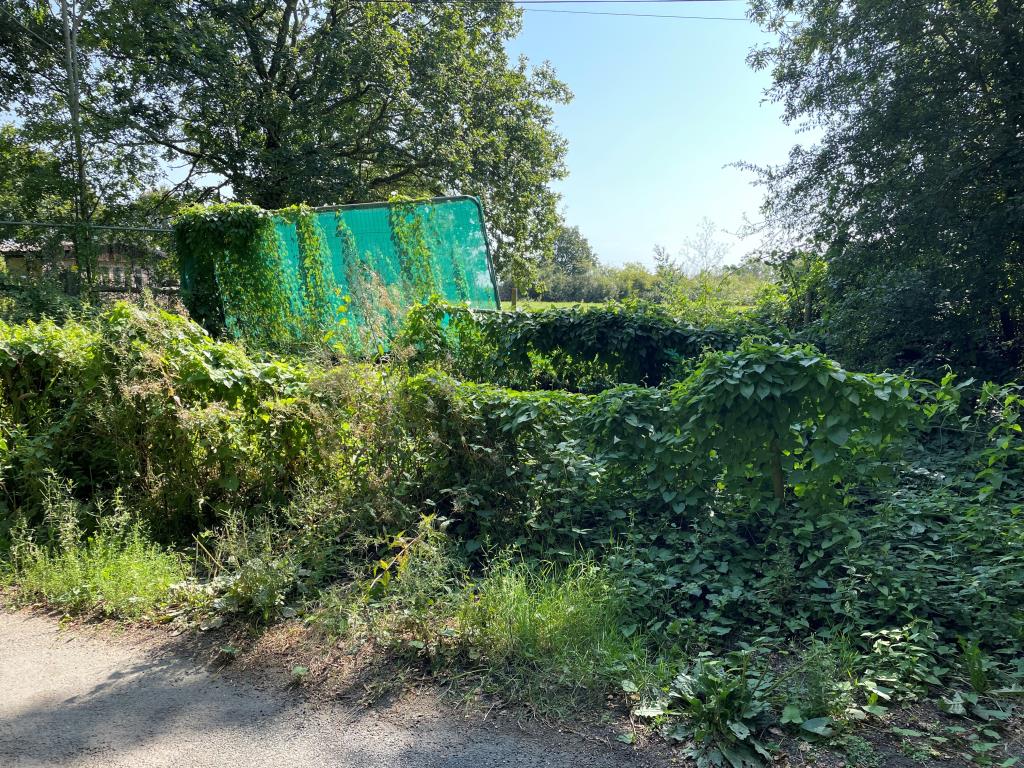 Lot: 60 - 1.53 ACRES WITH RESIDENTIAL PLANNING FOR FIVE UNITS - Proposed vehicular access to site
